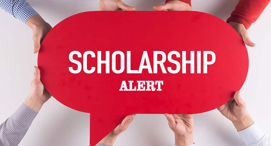 Lic Hfl Vidyadhan Scholarship and Vacancies 2020 - Apply Here