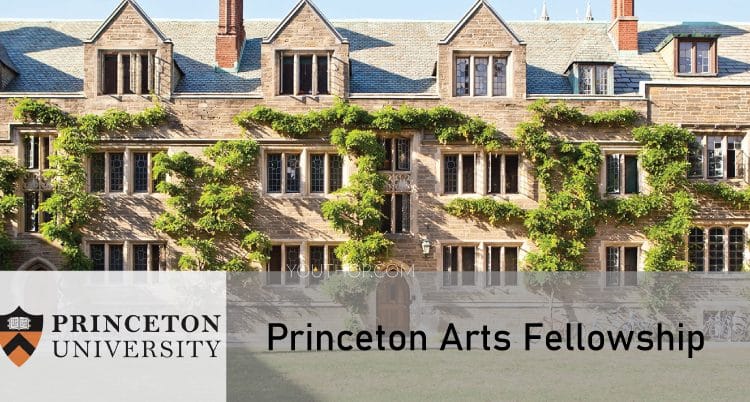 Princeton Arts Fellowship