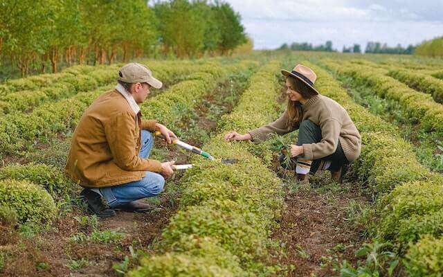 Best Paying Jobs in Farming/Seeds/Mill