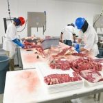 20 Best Paying Jobs in Meat/Fish/Poultry | Entry-Level Jobs Included